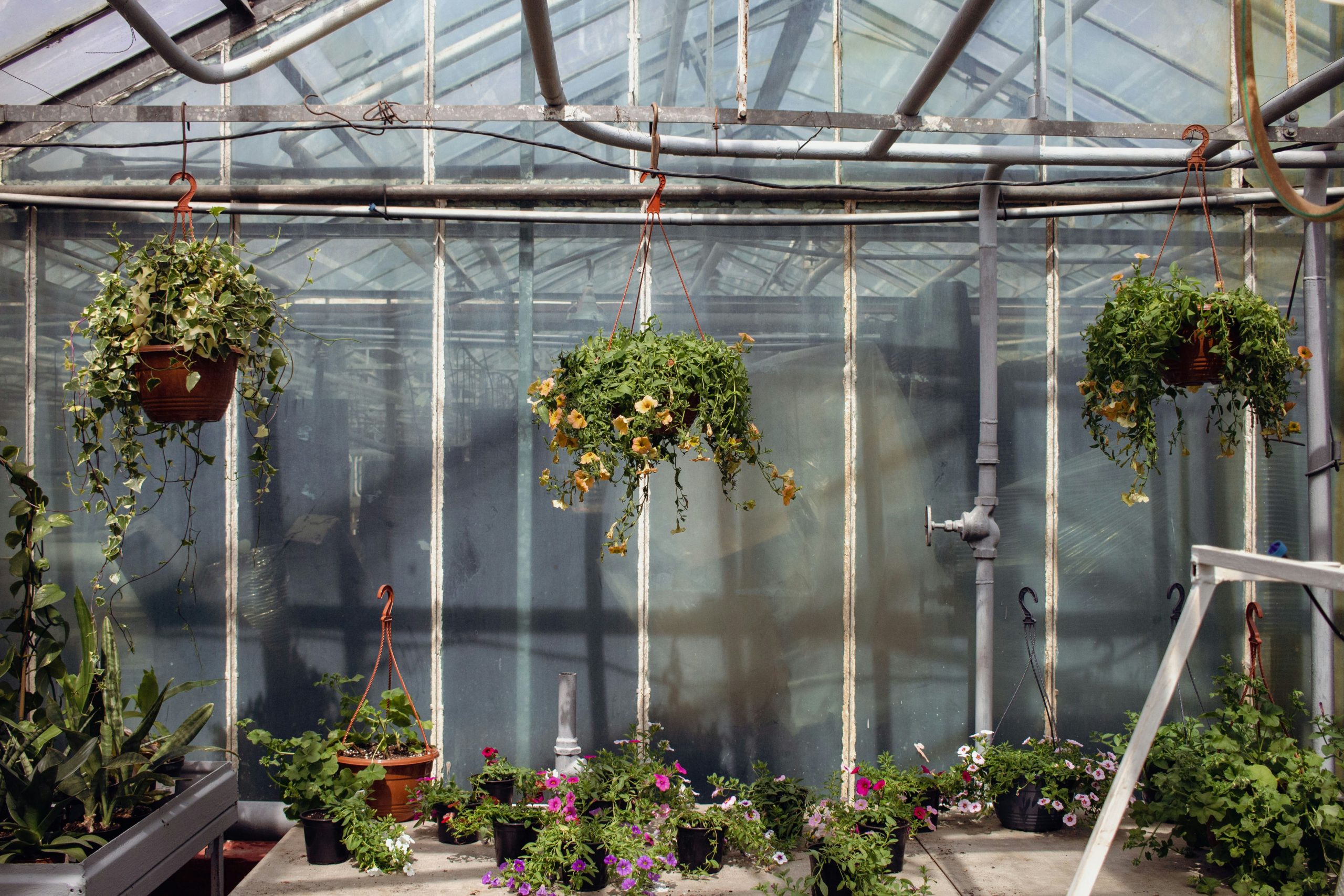 Professional Home Greenhouse Workflow System