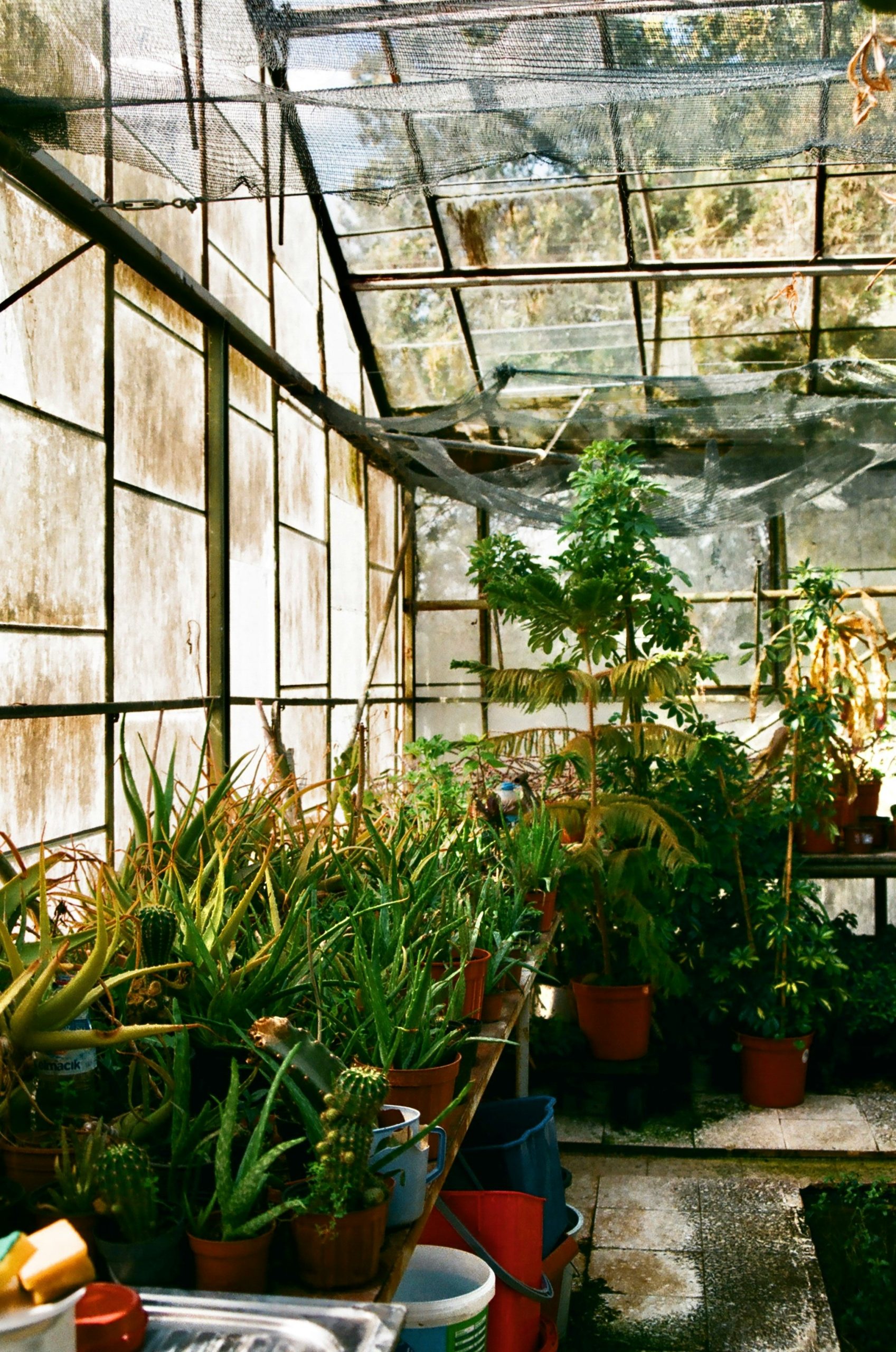 Light Mastery for Indoor Greenhouses