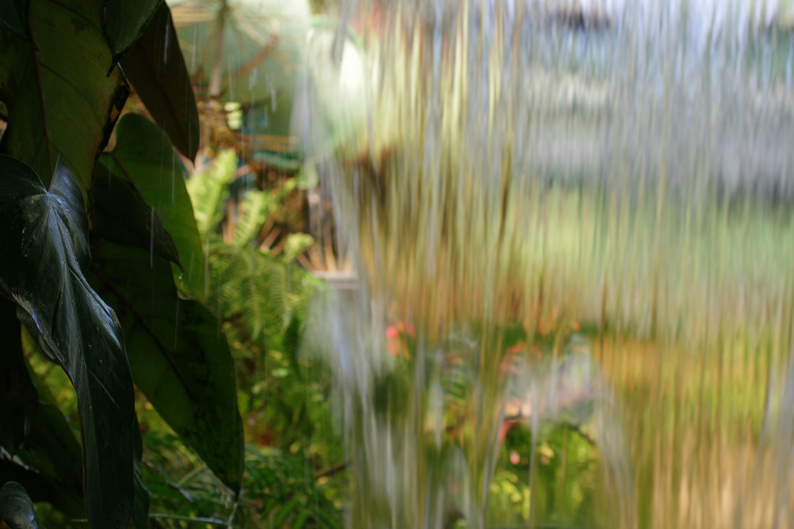 Watering & Moisture Control Blueprint