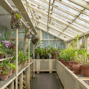 Soil & Substrate Design for Home Greenhouses