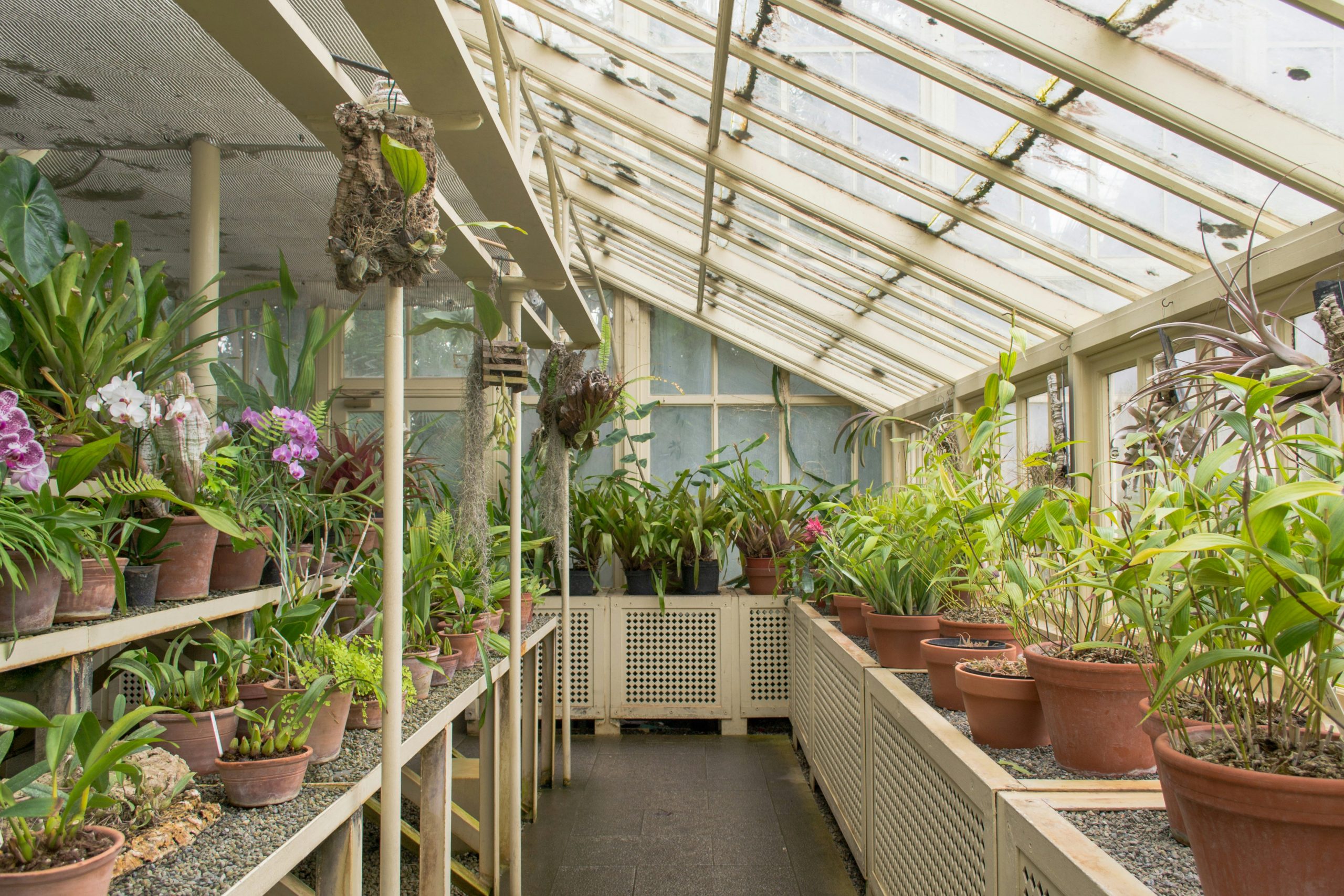 Home Greenhouse Foundations: Plant Care Systems